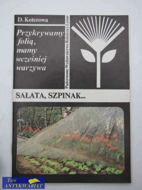 SAŁATA SZPINAK