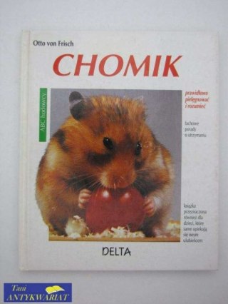 CHOMIK