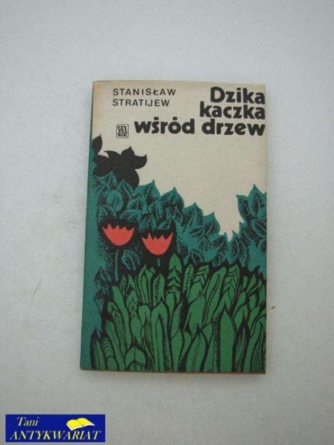 DZIKA KACZKA WŚRÓD DRZEW