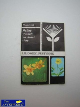 LILIOWIEC, PUSTYNNIK