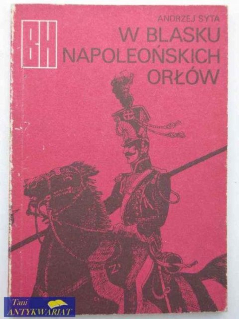 W BRZASKU NAPOLEOŃSKICH ORŁÓW