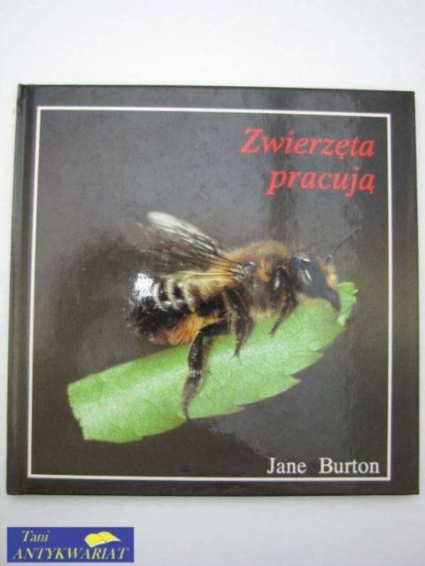 ZWIERZĘTA PRACUJĄ