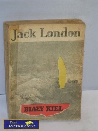 BIAŁY KIEŁ
