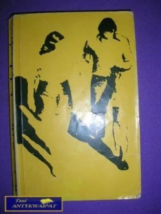 SCHODY DO RAJU - B. Seidler