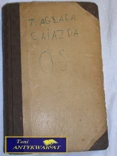 ZAGŁADA GNIAZDA OS-GIEORGJI BRIANCEW