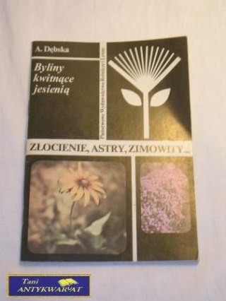 BYLINY KWITNĄCE JESIENIĄ ZŁOCIENIE , ASTRY , ZI