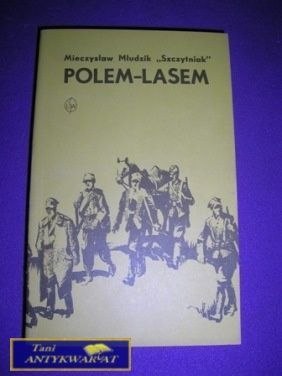 POLEM-LASEM-M.Młudzik &Szczytniak;