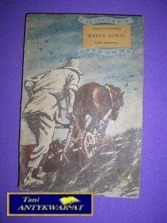 WYBÓR NOWEL - A. Dygasiński
