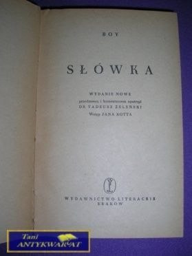 SŁÓWKA-Boy