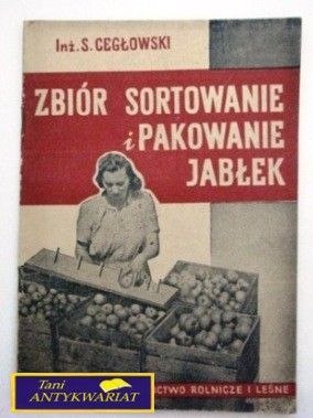 ZBIÓR SORTOWANIE I PAKOWANIE JABŁEK