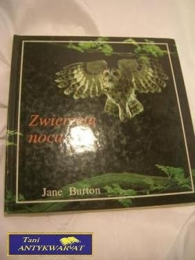 ZWIERZĘTA NOCĄ-J.Burton