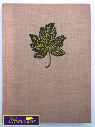 PANIENKA Z OKIENKA Jadwiga Łuszczewska (Deotyma)