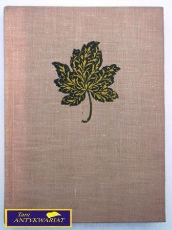 PANIENKA Z OKIENKA Jadwiga Łuszczewska (Deotyma)