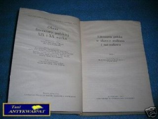 LITERATURA POLSKA W OKRESIE REALIZMU I NATURALIZMU