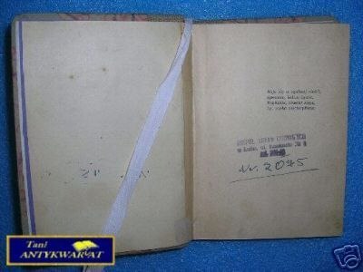 KAT CZEKA NIECIERPLIWIE