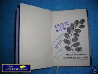 TRZYNAŚCIE SPOTKAŃ - W. Krzemiński