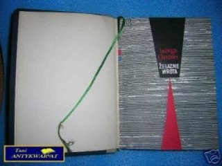 ŻELAZNE WROTA - J. Chamiec