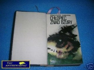 CHŁOPIEC ZNAD BZURY - F.Zamojski