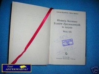 HISTORIA LITERATURY STANÓW ZJEDNOCZONYCH W ZARYSIE