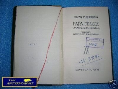 PADA DESZCZ - S.Flukowski
