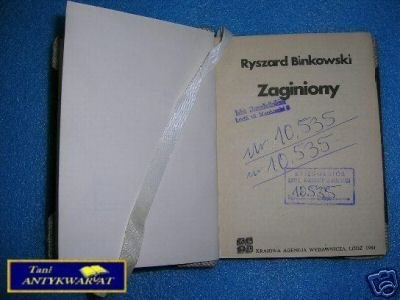ZAGINIONY - R.Binkowski