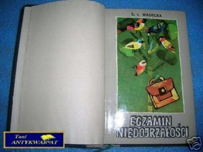 EGZAMIN NIEDOJRZAŁOŚCI - S.L.Wadecka