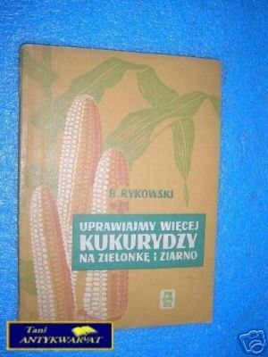 UPRAWIAJMY WIĘCEJ KUKURYDZY NA ZIELONKĘ I ZIARNO UPRAWIAJMY WIĘCEJ KUKURYDZY NA ZIELONKĘ I ZIARNO