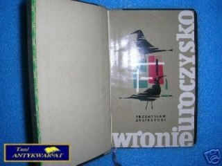 WRONIE UROCZYSKO - P.Bystrzycki