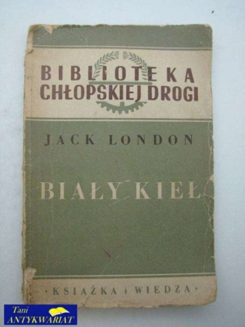 BIAŁY KIEŁ
