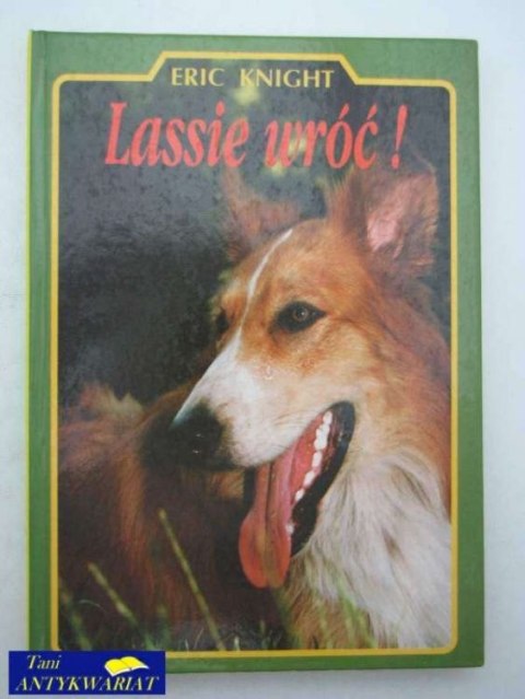 LASSIE WRÓĆ !