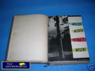 MIŁOŚĆ WŚRÓD PŁONĄCYCH WZGÓRZ TOM I - J.Wi