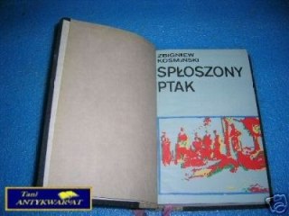 SPŁOSZONY PTAK - Z.Kośmiński