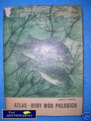 ATLAS RYBY WÓD POLSKICH - A.Rudnicki