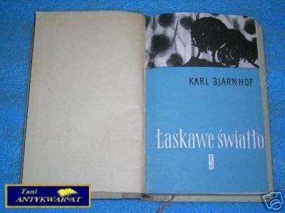 ŁASKAWE ŚWIATŁO - K. Bjarnhof