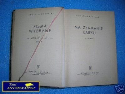 NA ZŁAMANIE KARKU - A.Dygasiński