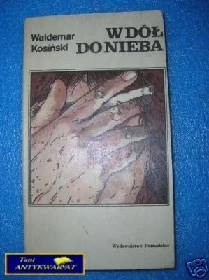 W DÓŁ DO NIEBA - W.Kosiński