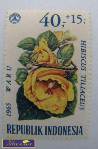 ZNACZEK - HIBISKUS TILIACEUS