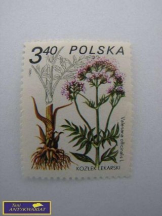 ZNACZEK- KOZŁEK LEKARSKI 1980