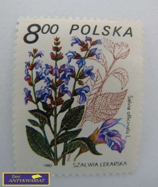 ZNACZEK - MIĘTA PIEPRZOWA