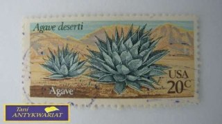 ZNACZEK POCZTOWY AGAVE USA