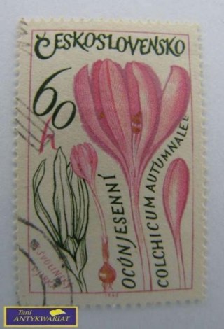 ZNACZEK POCZTOWY OCUNJESENNI 1945