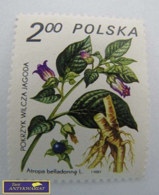 ZNACZEK POCZTOWY POKRZYK WILCZA JAGODA