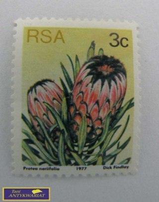 ZNACZEK POCZTOWY PROTEZA NERIIFOLIA 1977