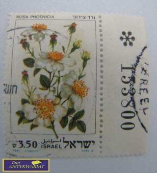 ZNACZEK POCZTOWY- ROSA PHOENICIA 1981
