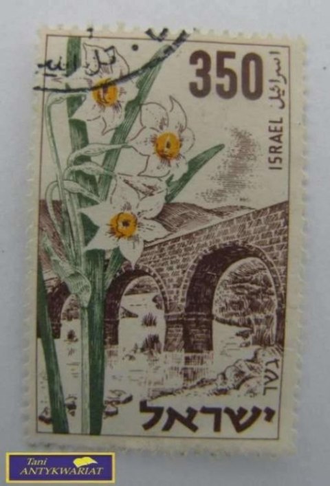 ZNACZEK - Żonkile