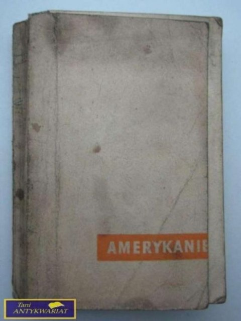 AMERYKANIE Stanisław Mierzyński