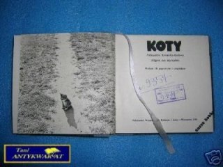 KOTY - A. Konarska-Szubska