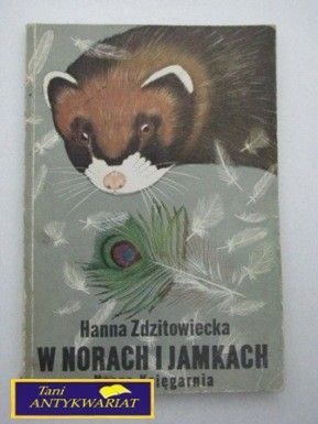 W NORACH I JAMKACH- H. Zdzitowiecka