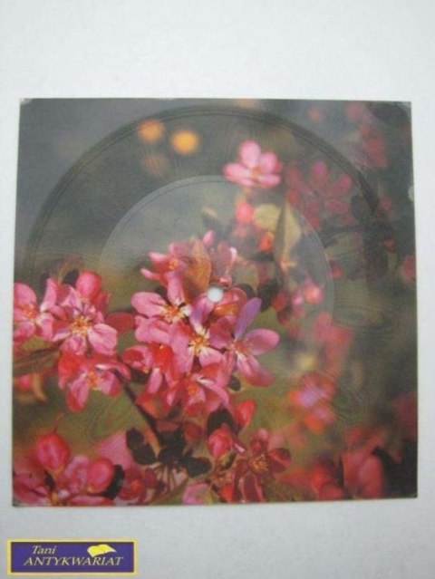 POCZTÓWKA DŹWIĘKOWA Provinvia