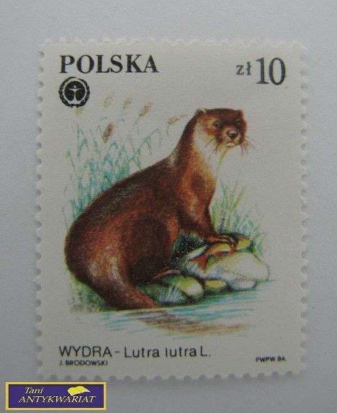 ZNACZEK POCZTOWY WYDRA